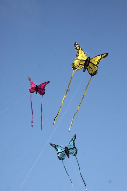Wolkensturmer | Bella Butterfly Kite