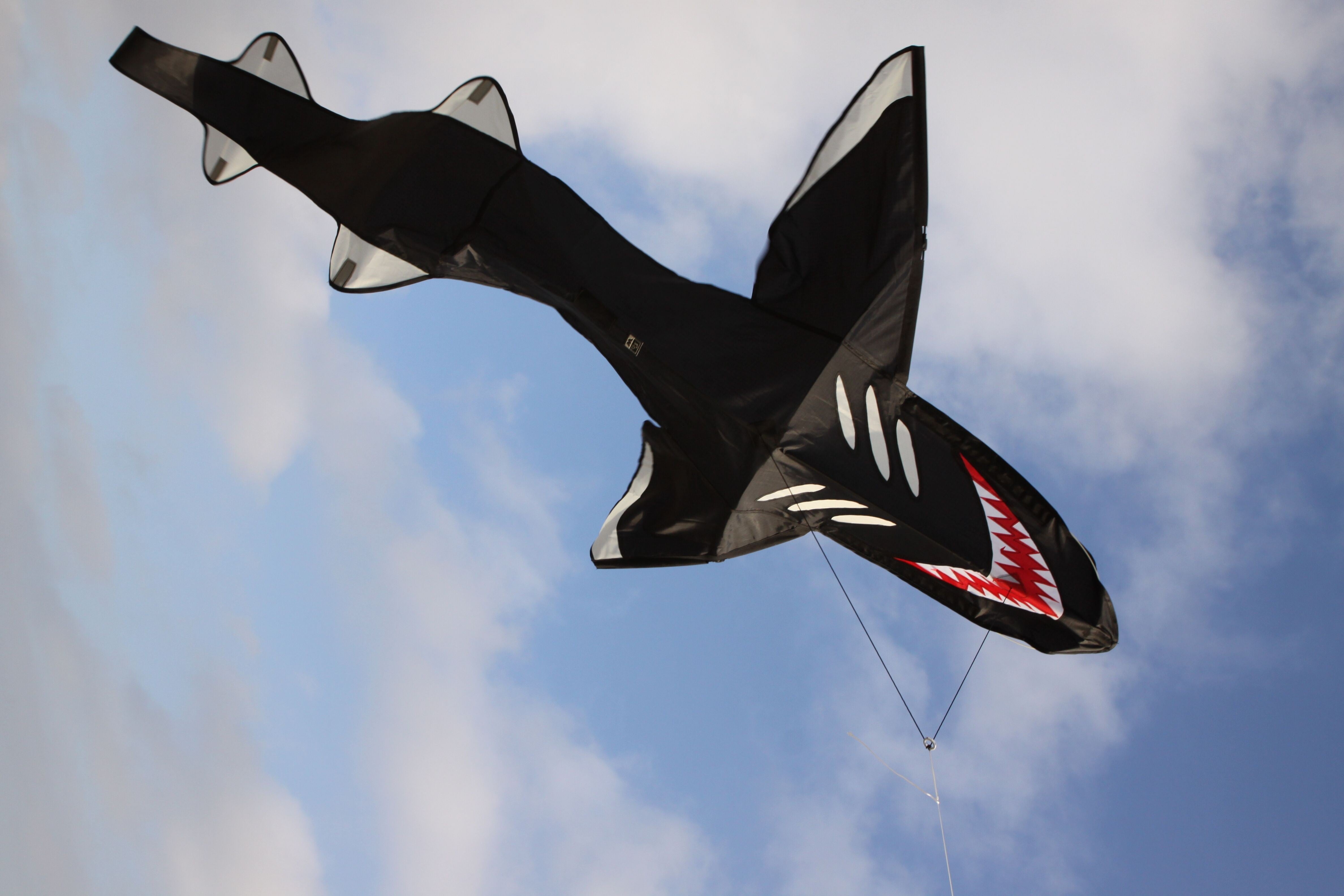 Buy Kite in Dubai UAE – Flow Arabia