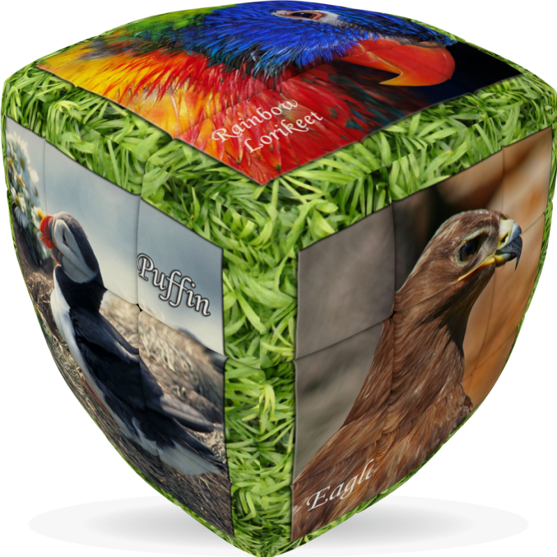 V-Cube Unique Birds Pillow Puzzle Cube