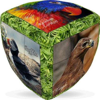 V-Cube Unique Birds Pillow Puzzle Cube